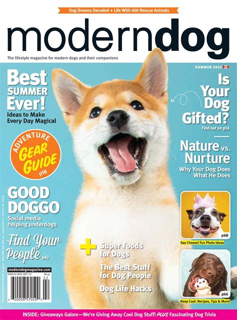 Modern Dog Summer 2022 by Modern Dog Magazine - Issuu