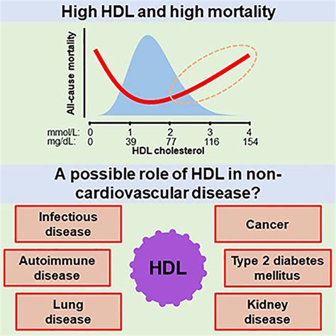 Novel Insights From Human Studies on the Role of High-Density ...