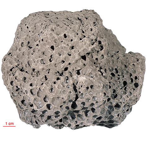 15556 (138) Vesicular Olivine Basalt