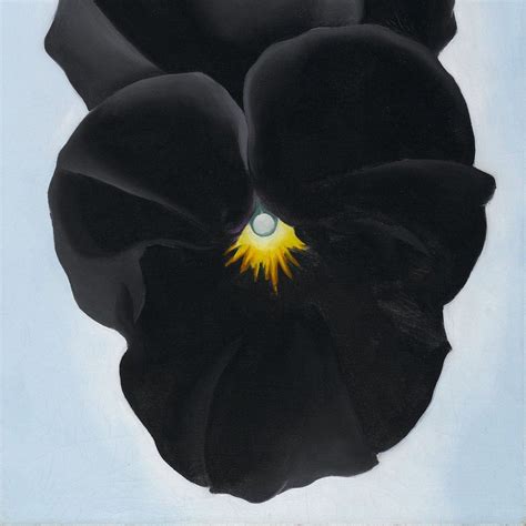 Georgia O'keeffe Flower Paintings Names – Beautiful Flower Arrangements and Flower Gardens