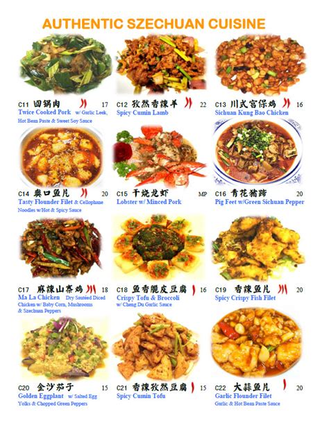 Authentic Szechuan Cuisine Chinese Special Food Chengdu 23 Wayne NJ