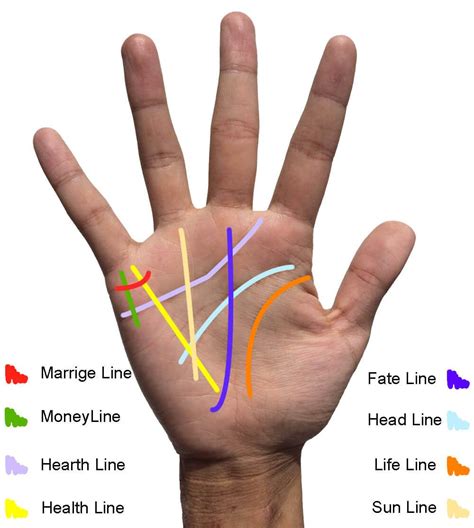 Palm Reading Life Line | Palm reading, Palm reading lines, Palm reading ...