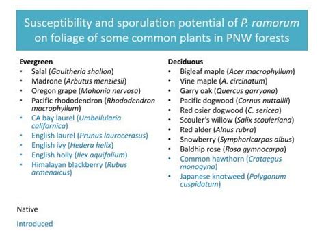 Susceptibility and sporul