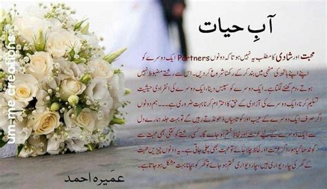 Aab e hayat by Umera Ahmad | Quotes from novels, Deep words, Urdu novels