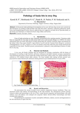 Pathology of Snake bite in stray Dog | PDF