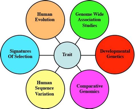 Research | Developmental and Evolutionary Genetics Lab