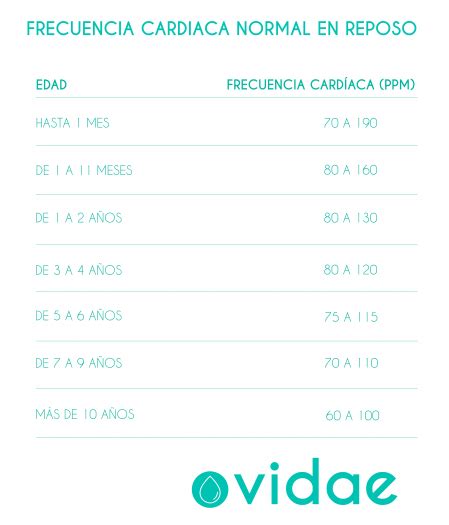 Frecuencia cardíaca: ¿cuántas pulsaciones son normales por edad?