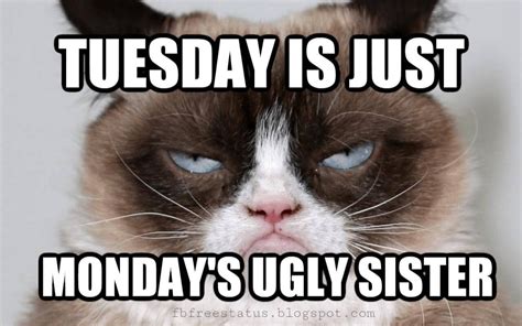 Work Memes Funny Tuesday | lit438dld