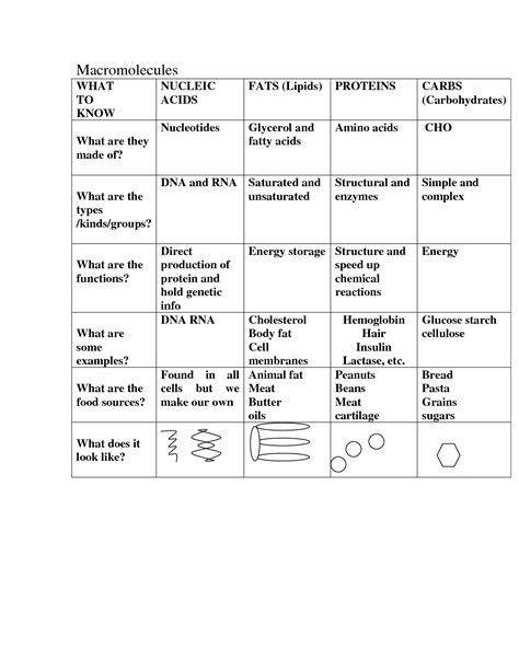 Macromolecules Coloring Worksheet - Printable Word Searches