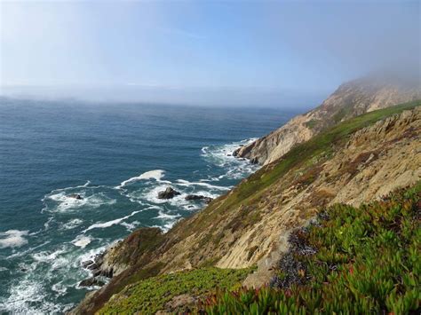 The Ultimate Guide to Point Reyes National Seashore