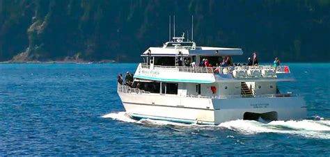 Kenai Fjords National Park Tours, Seward - Cruise Panorama