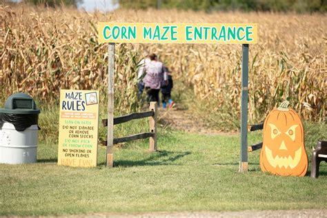 Grafton Corn Maze & Pumpkin Patch - Pumpkin Patch Near Me