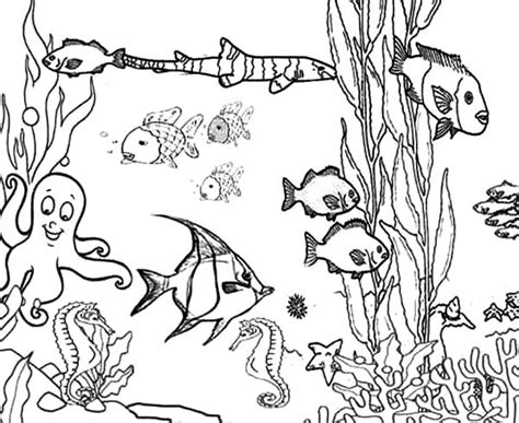 Marine Ecosystem Drawing at GetDrawings | Free download