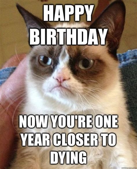 Grumpy Cat Coronavirus Memes - Funny Cats