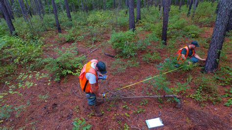 Forest Inventory & Analysis - South Carolina Forestry Commission