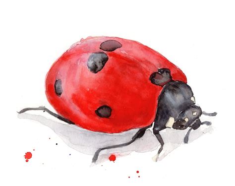 Ladybug Art Watercolor Print Art Print Art Lady Bug - Etsy