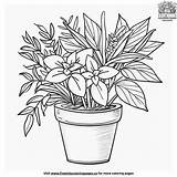 Indoor Plant Coloring Pages sketch template