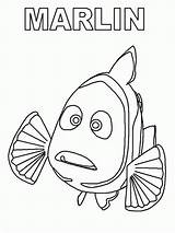 Bruce From Finding Nemo Coloring Pages sketch template