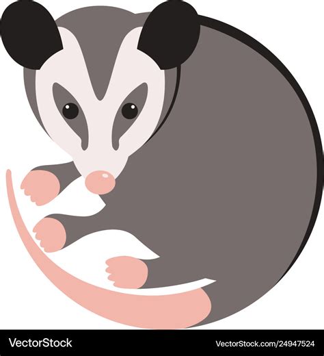 Cartoon opossum flat style Royalty Free Vector Image