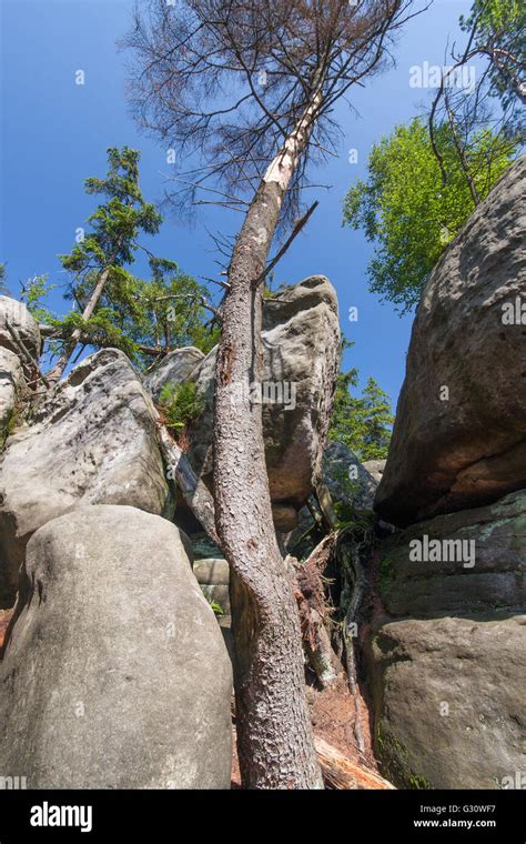 View of the Sudety National Park in Poland Stock Photo - Alamy