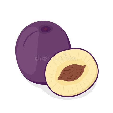 Whole, Half of Ripe Purple Plum. Cartoon Style. Vector Illustration Stock Vector - Illustration ...