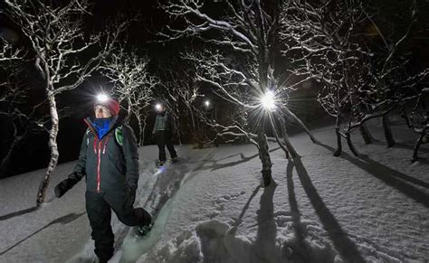 From Tromsø: Night Snowshoeing Tour | GetYourGuide