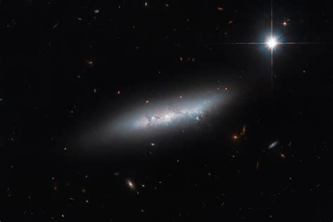 Hubble Sees Spectacular Irregular Galaxy | Sci.News