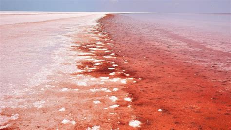 Salt Lake in Turkey Turns Red Because of Algae Bloom - ABC News