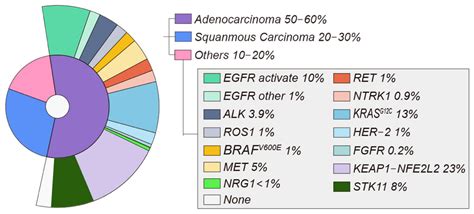 Cells | Free Full-Text | Biomarker-Targeted Therapies in Non–Small Cell Lung Cancer: Current ...