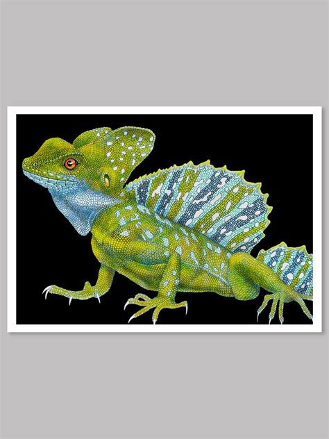 Basilisk Colored Pencil Drawing — Tim Jeffs Art