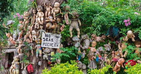 27 Photos Of Mexico’s ‘Island Of The Dolls’ That Will Haunt Your Dreams ...