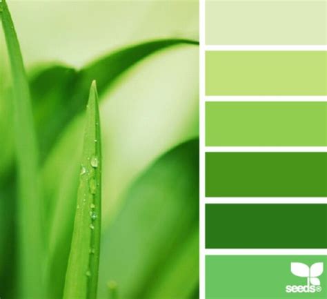 Spring greens | Design seeds, Green palette, Seeds color