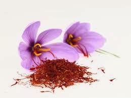 Satiereal Saffron Extract Reviews