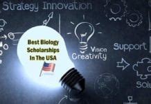 Top 10 Best Neurosurgery Schools in USA | Biology Explorer