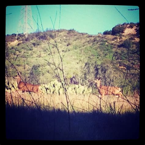 Trabuco Canyon, CA | Travel and tourism, Tourism, Nature travel