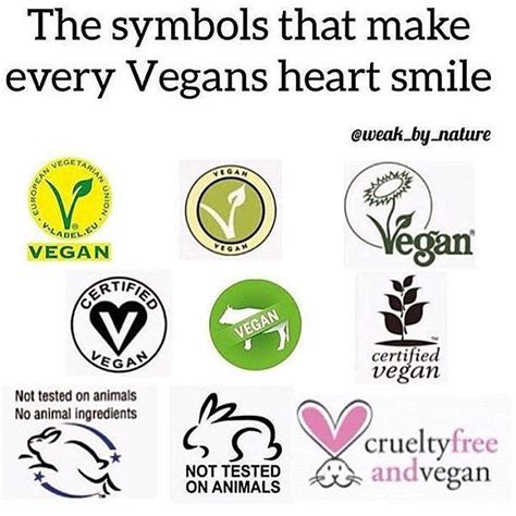 Vegan Symbols Live Let Live Vegetarian Vegan Vegan Symbol