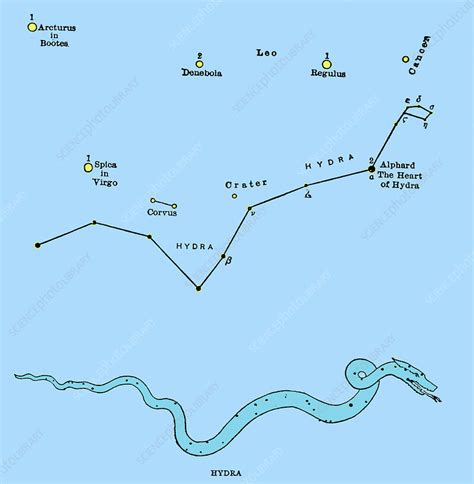 Hydra Constellation - Stock Image - C030/4436 - Science Photo Library