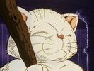 Korin | Dragon Ball Wiki | Fandom