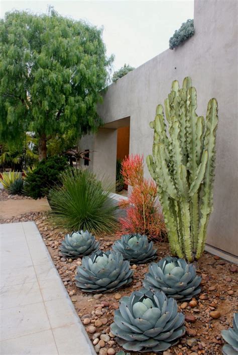 20+ Beautiful Cactus Garden Ideas For Best Garden Inspirations- 20 ...