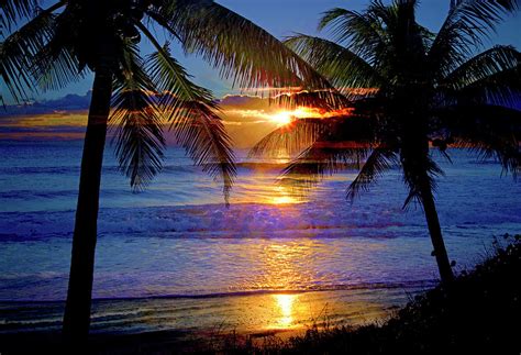 Tropical Sunrise Silhouettes Photograph by Lynn Bauer