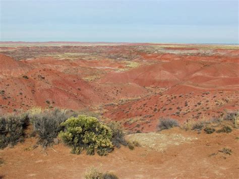 The Agatelady: Adventures and Events: Painted Desert, Sunrise, Visits ...