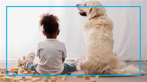 The Best Pets for Kids: Dog Breeds That Are Perfect For Kids and Families