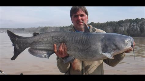 Catfish Dave Conquers North Carolina - YouTube