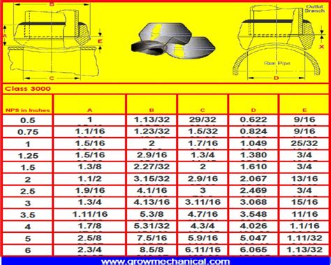 Complete dimension charts of sockolet fitting - Grow Mechanical