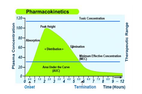 Pharmacokinetics and Pharmacodynamics | Ausmed