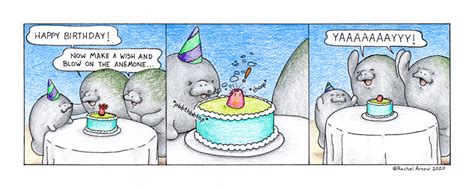 Birthday Wish – Man versus Manatee