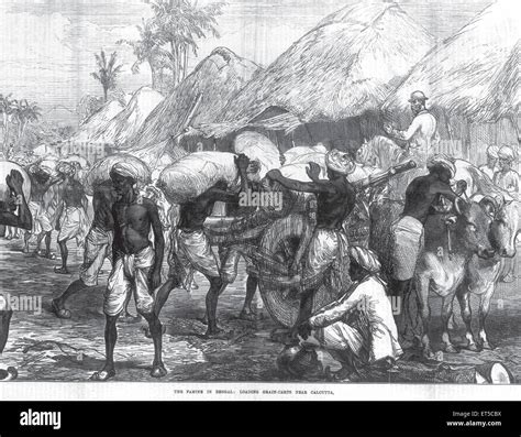 India grain famine hi-res stock photography and images - Alamy