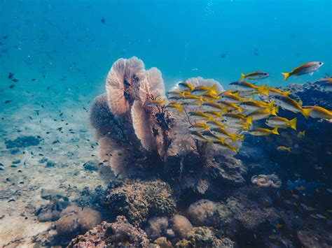 A Guide to Koh Lanta Diving. | The Very Hungry Mermaid