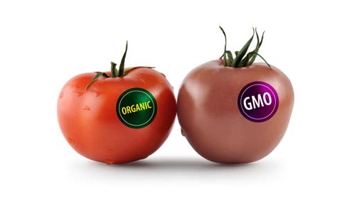 Genetically Modified Food