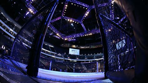 UFC Cage Wallpapers - Top Free UFC Cage Backgrounds - WallpaperAccess